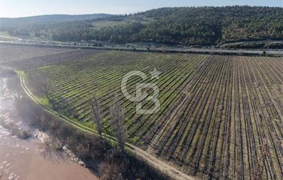 MANİSA-AKHİSAR YOLUNDA,ANAYOLA 120 METRE CEPHELİ SATILIK TARLA