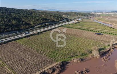 MANİSA-AKHİSAR YOLUNDA,ANAYOLA 120 METRE CEPHELİ SATILIK TARLA