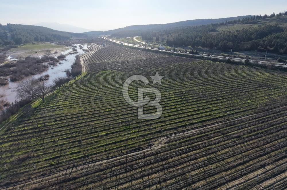 MANİSA-AKHİSAR YOLUNDA,ANAYOLA 120 METRE CEPHELİ SATILIK TARLA