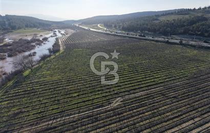 MANİSA-AKHİSAR YOLUNDA,ANAYOLA 120 METRE CEPHELİ SATILIK TARLA