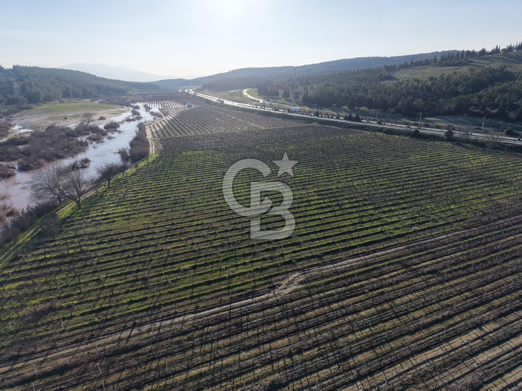 MANİSA-AKHİSAR YOLUNDA,ANAYOLA 120 METRE CEPHELİ SATILIK TARLA