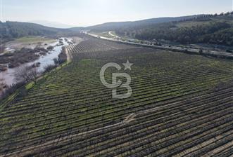 MANİSA-AKHİSAR YOLUNDA,ANAYOLA 120 METRE CEPHELİ SATILIK TARLA - 1 - 335346