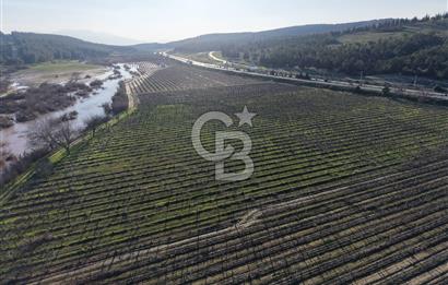 MANİSA-AKHİSAR YOLUNDA,ANAYOLA 120 METRE CEPHELİ SATILIK TARLA