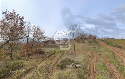 İznik Mahmudiyede Kaçırılmayacak Fırsat! 8.921 m² Satılık Arazi