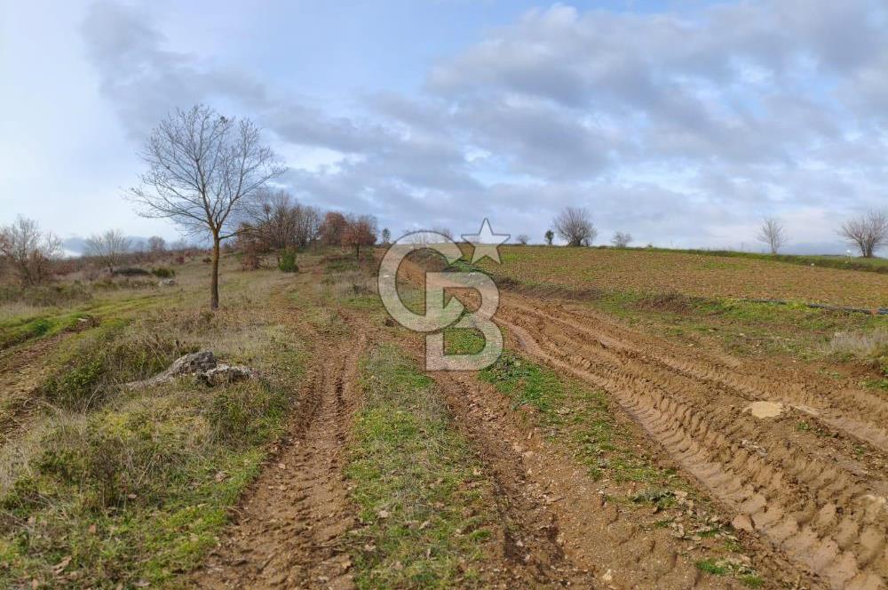 İznik Mahmudiyede Kaçırılmayacak Fırsat! 8.921 m² Satılık Arazi