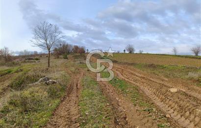 İznik Mahmudiyede Kaçırılmayacak Fırsat! 8.921 m² Satılık Arazi