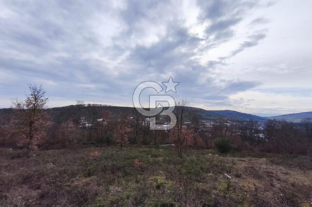 İznik Mahmudiyede Kaçırılmayacak Fırsat! 8.921 m² Satılık Arazi