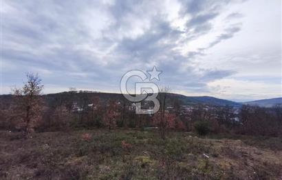 İznik Mahmudiyede Kaçırılmayacak Fırsat! 8.921 m² Satılık Arazi