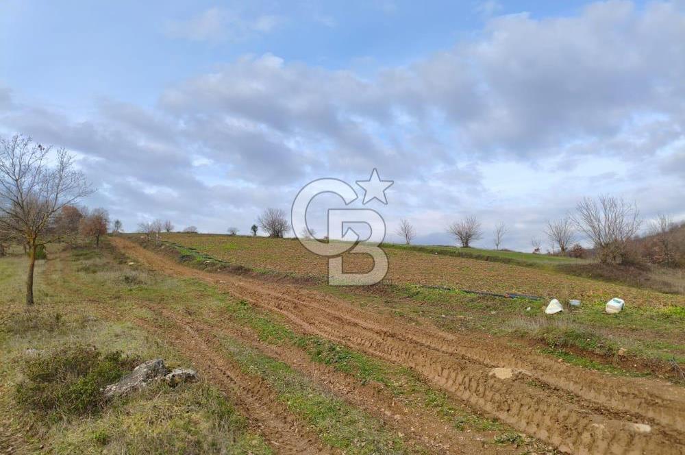 İznik Mahmudiyede Kaçırılmayacak Fırsat! 8.921 m² Satılık Arazi