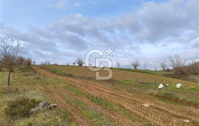 İznik Mahmudiyede Kaçırılmayacak Fırsat! 8.921 m² Satılık Arazi