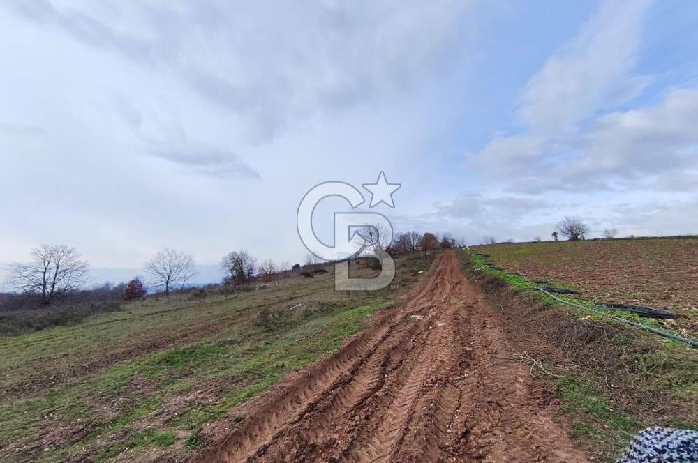 İznik Mahmudiyede Kaçırılmayacak Fırsat! 8.921 m² Satılık Arazi