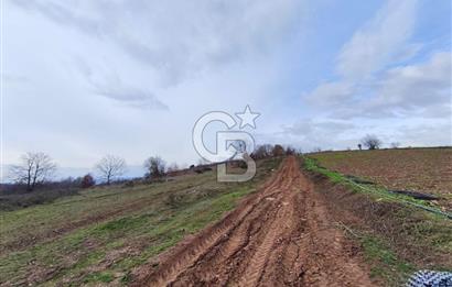 İznik Mahmudiyede Kaçırılmayacak Fırsat! 8.921 m² Satılık Arazi