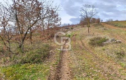 İznik Mahmudiyede Kaçırılmayacak Fırsat! 8.921 m² Satılık Arazi