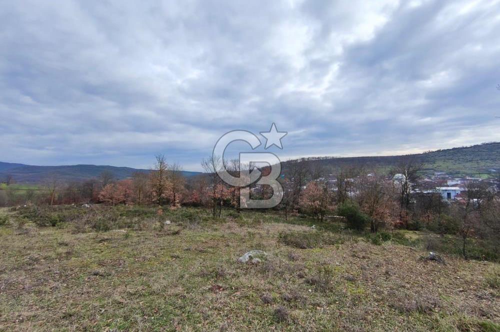 İznik Mahmudiyede Kaçırılmayacak Fırsat! 8.921 m² Satılık Arazi