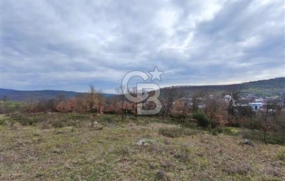 İznik Mahmudiyede Kaçırılmayacak Fırsat! 8.921 m² Satılık Arazi