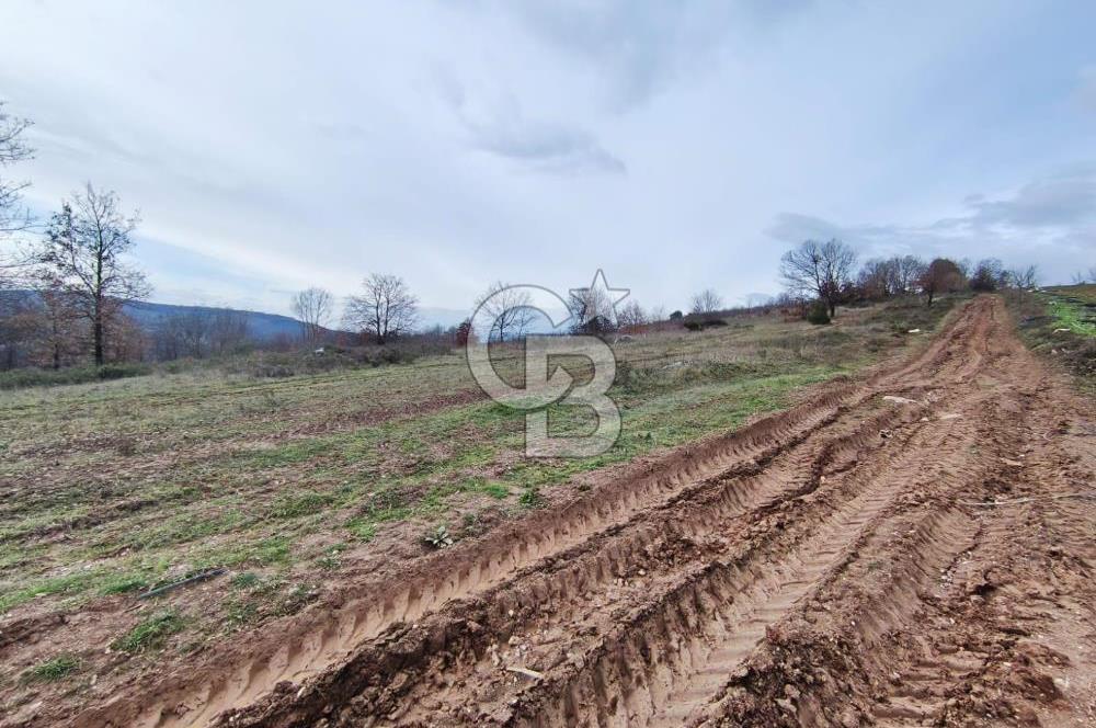 İznik Mahmudiyede Kaçırılmayacak Fırsat! 8.921 m² Satılık Arazi