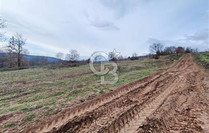 İznik Mahmudiyede Kaçırılmayacak Fırsat! 8.921 m² Satılık Arazi