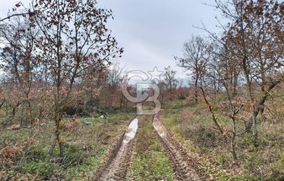 İznik Mahmudiyede Kaçırılmayacak Fırsat! 8.921 m² Satılık Arazi