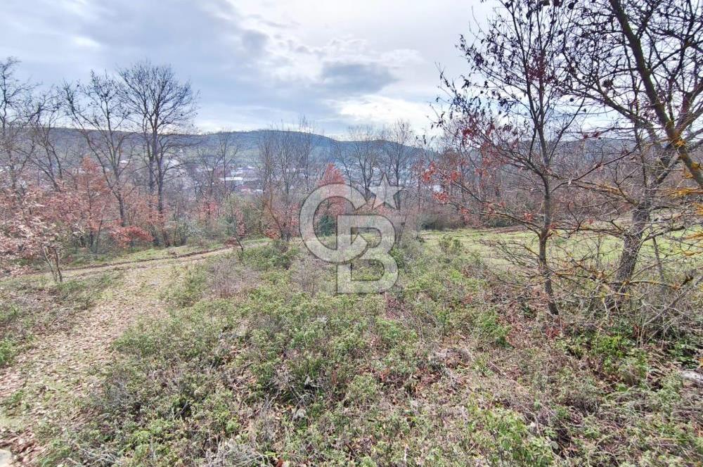 İznik Mahmudiyede Kaçırılmayacak Fırsat! 8.921 m² Satılık Arazi