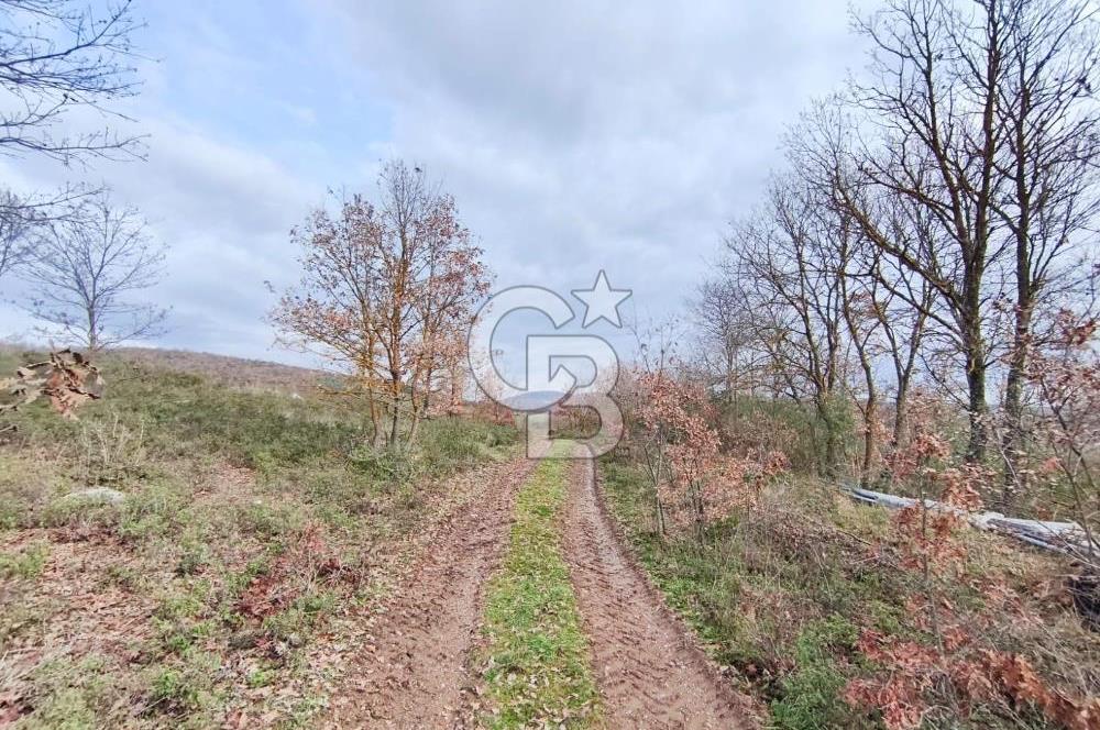 İznik Mahmudiyede Kaçırılmayacak Fırsat! 8.921 m² Satılık Arazi