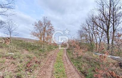 İznik Mahmudiyede Kaçırılmayacak Fırsat! 8.921 m² Satılık Arazi