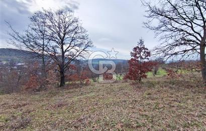 İznik Mahmudiyede Kaçırılmayacak Fırsat! 8.921 m² Satılık Arazi