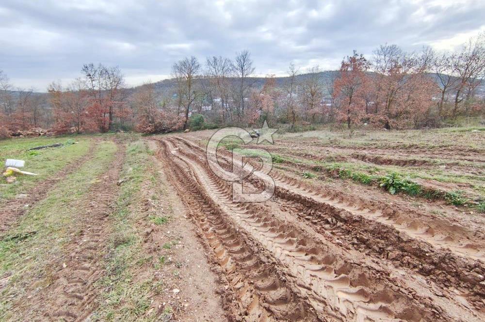 İznik Mahmudiyede Kaçırılmayacak Fırsat! 8.921 m² Satılık Arazi