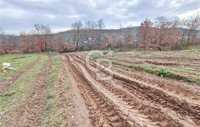 İznik Mahmudiyede Kaçırılmayacak Fırsat! 8.921 m² Satılık Arazi