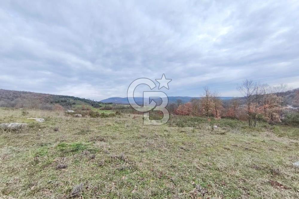İznik Mahmudiyede Kaçırılmayacak Fırsat! 8.921 m² Satılık Arazi