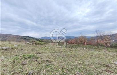 İznik Mahmudiyede Kaçırılmayacak Fırsat! 8.921 m² Satılık Arazi