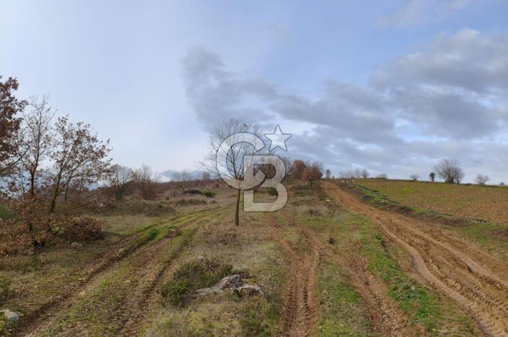 İznik Mahmudiyede Kaçırılmayacak Fırsat! 8.921 m² Satılık Arazi