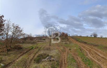 İznik Mahmudiyede Kaçırılmayacak Fırsat! 8.921 m² Satılık Arazi