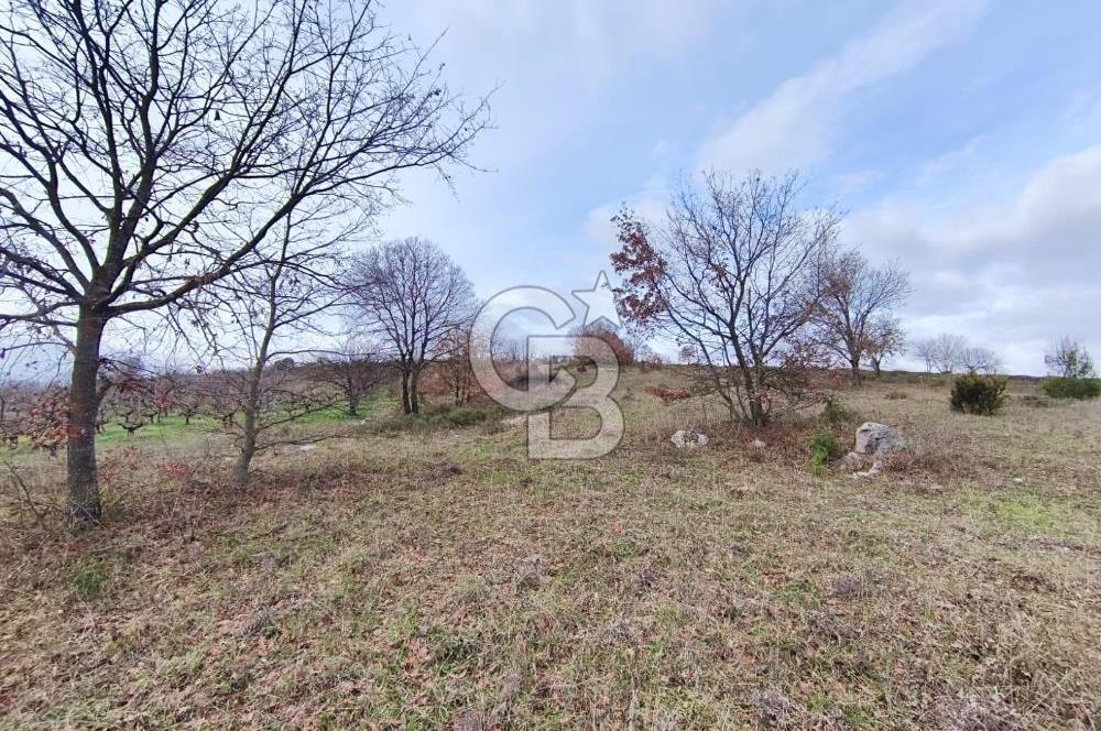 İznik Mahmudiyede Kaçırılmayacak Fırsat! 8.921 m² Satılık Arazi