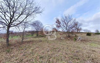 İznik Mahmudiyede Kaçırılmayacak Fırsat! 8.921 m² Satılık Arazi