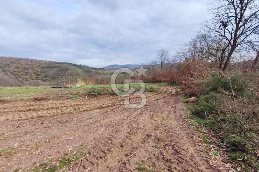 İznik Mahmudiyede Kaçırılmayacak Fırsat! 8.921 m² Satılık Arazi