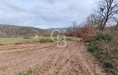 İznik Mahmudiyede Kaçırılmayacak Fırsat! 8.921 m² Satılık Arazi