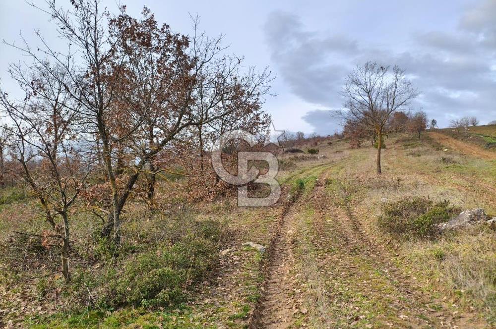 İznik Mahmudiyede Kaçırılmayacak Fırsat! 8.921 m² Satılık Arazi