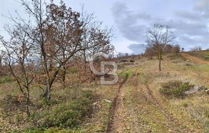 İznik Mahmudiyede Kaçırılmayacak Fırsat! 8.921 m² Satılık Arazi