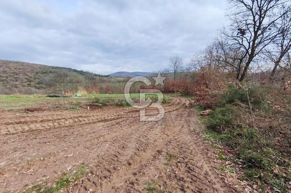 İznik Mahmudiyede Kaçırılmayacak Fırsat! 8.921 m² Satılık Arazi