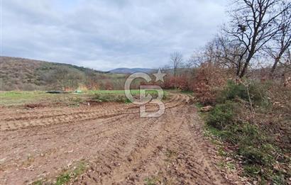 İznik Mahmudiyede Kaçırılmayacak Fırsat! 8.921 m² Satılık Arazi