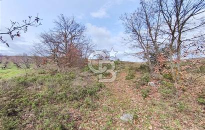 İznik Mahmudiyede Kaçırılmayacak Fırsat! 8.921 m² Satılık Arazi