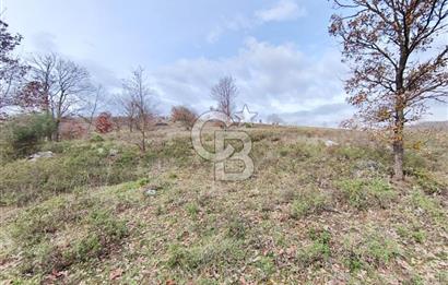 İznik Mahmudiyede Kaçırılmayacak Fırsat! 8.921 m² Satılık Arazi