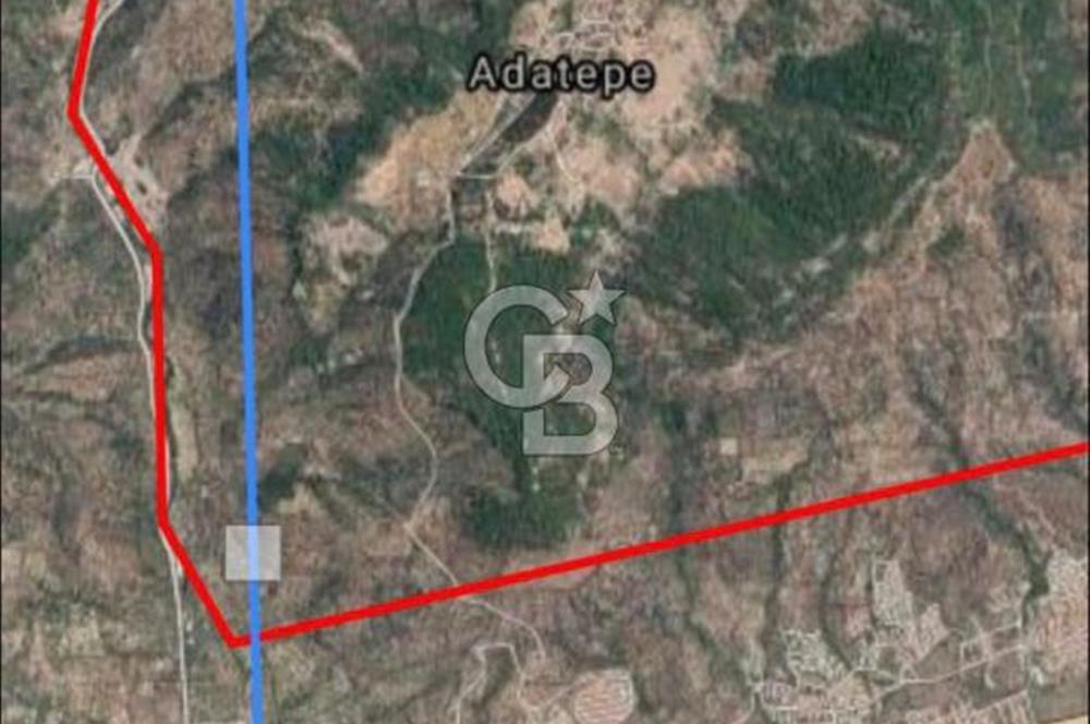 ÇANAKKALE AYVACIK  ADATEPE  KÖYÜ'NDE SATILIK ZEYTİNLİK