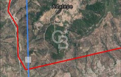 ÇANAKKALE AYVACIK  ADATEPE  KÖYÜ'NDE SATILIK ZEYTİNLİK