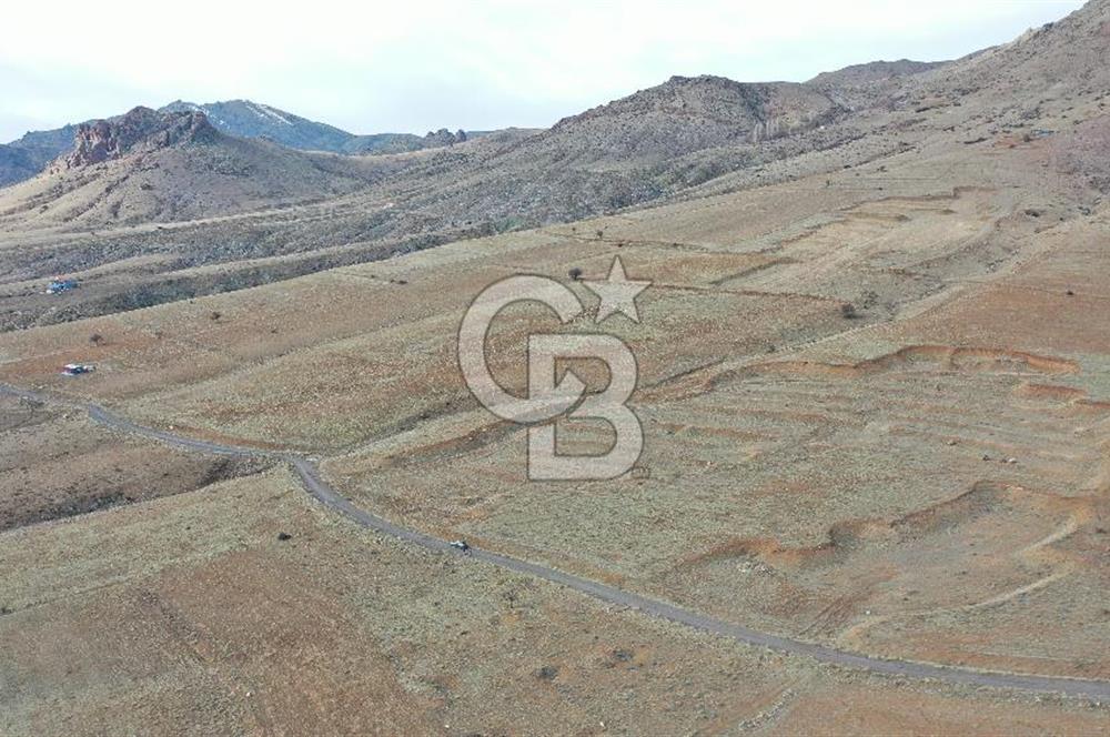 Niğde ulukışla hasangazi köyünde s