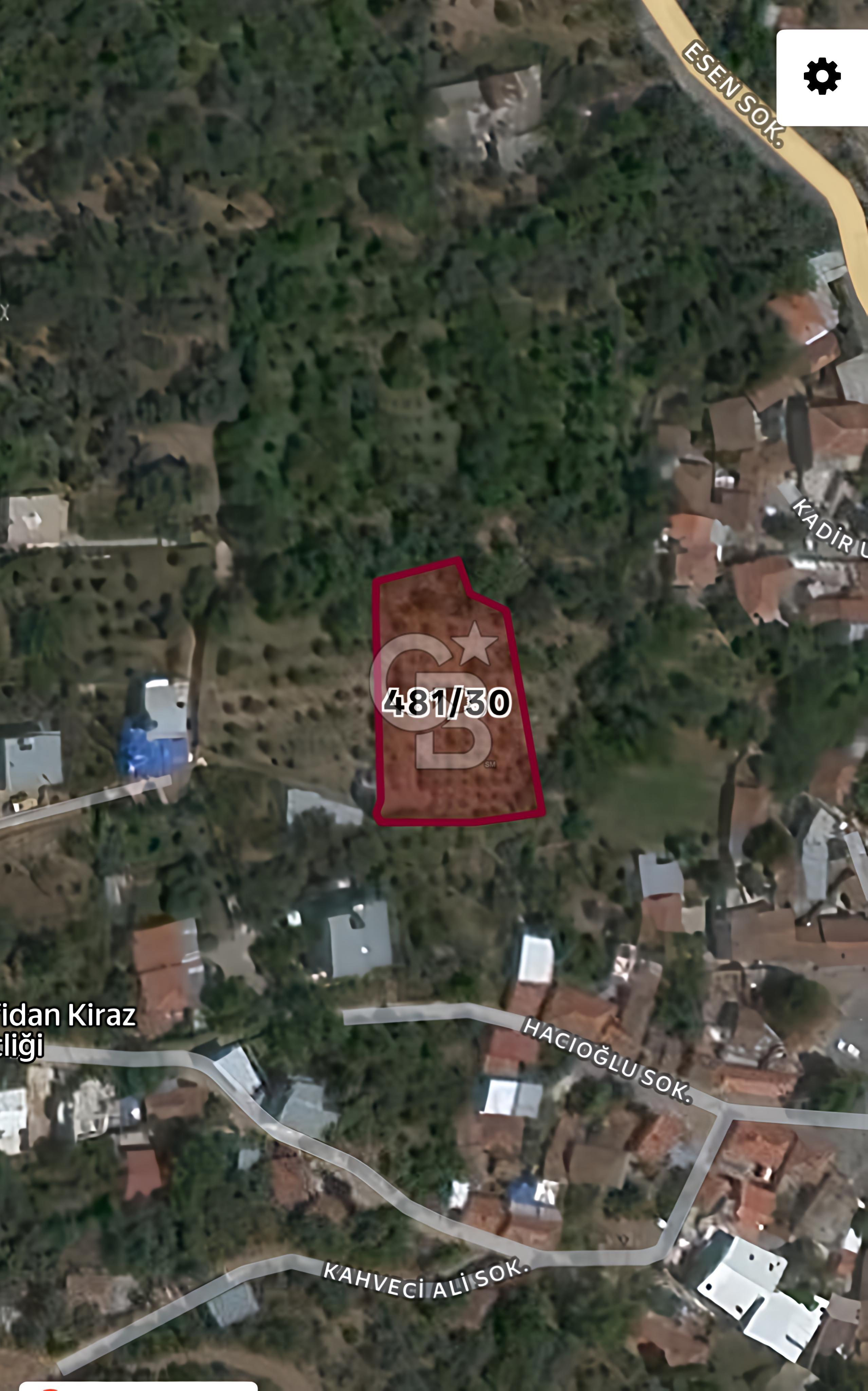 KEMALPAŞA BAĞYURDU'DA SATILIK KAYISI BAHÇESİ