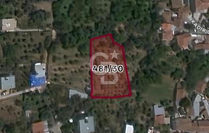 KEMALPAŞA BAĞYURDU'DA SATILIK KAYISI BAHÇESİ