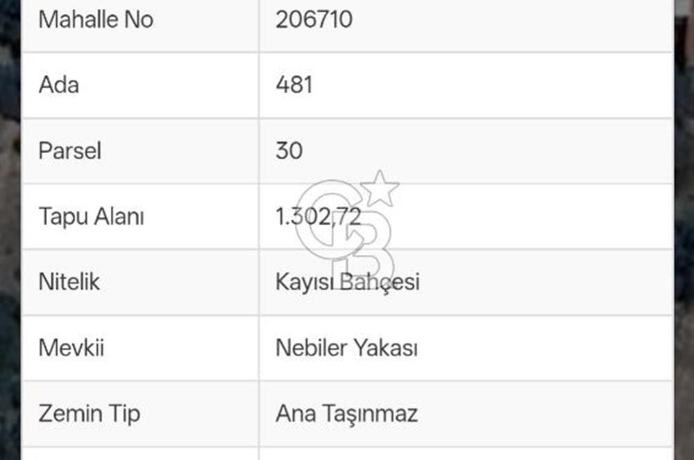 KEMALPAŞA BAĞYURDU'DA SATILIK KAYISI BAHÇESİ