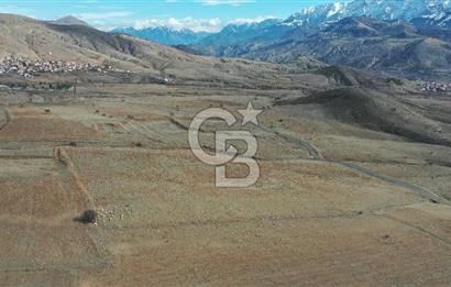 Niğde ulukışla hasangazi köyünde 