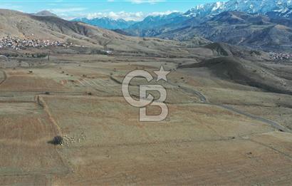 Niğde ulukışla hasangazi köyünde s